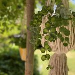 Makrome Saksılık Ekru Burgulu - Görsel 3