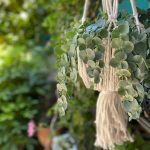 Makrome Saksılık Ekru Burgulu - Görsel 2